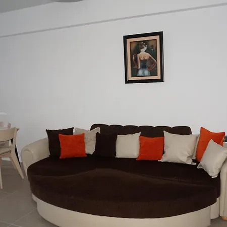 Eleven Odyssey * Navodari