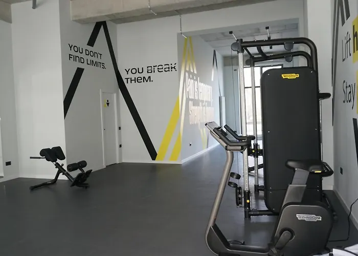 Eleven Odyssey Navodari